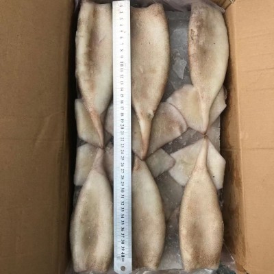 海芝冷冻鱿鱼筒 冰冻带皮无头鱿鱼同 速冻海鲜 自助餐 20斤/件2盒图3