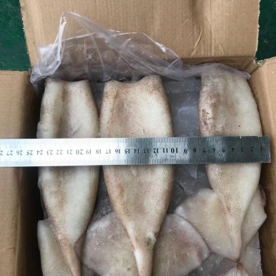 海芝冷冻鱿鱼筒 冰冻带皮无头鱿鱼同 速冻海鲜 自助餐 20斤/件2盒图4