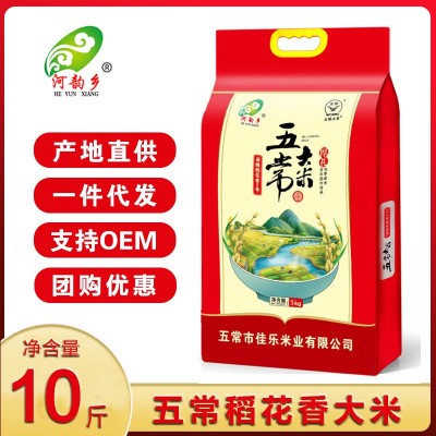 新米河韵乡东北五常大米稻花香5Kg10斤米 批发 一件代发图3