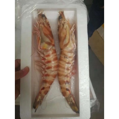 冷冻斑节虾 花虾 九节虾 海大明虾 去头斑节虾厂家冰鲜码头直供10盒图4