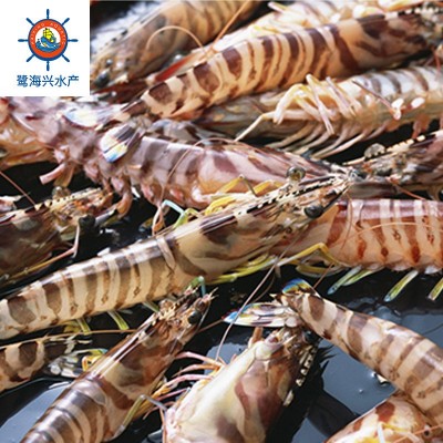 冷冻斑节虾 花虾 九节虾 海大明虾 去头斑节虾厂家冰鲜码头直供10盒图2