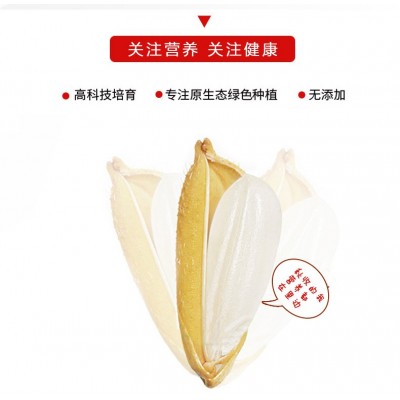 五常长粒香米 五常大米 东北大米10斤现磨新米5kg 厂家批发图3