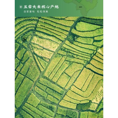 五常长粒香米 五常大米 东北大米10斤现磨新米5kg 厂家批发图4