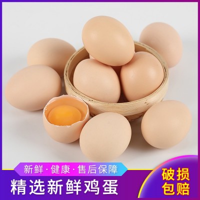 莲田优选鸡蛋农场农庄鸡蛋土鸡产蛋无抗新鲜鸡蛋谷物粮食喂养40枚 50盒图2