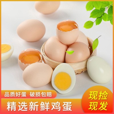莲田优选鸡蛋农场农庄鸡蛋土鸡产蛋无抗新鲜鸡蛋谷物粮食喂养40枚 50盒图4