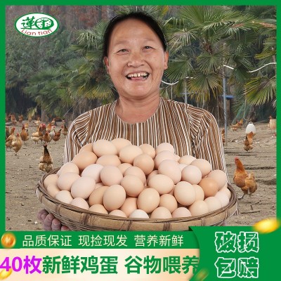 莲田优选鸡蛋农场农庄鸡蛋土鸡产蛋无抗新鲜鸡蛋谷物粮食喂养40枚 2盒图4