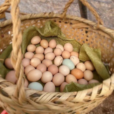 小枞 农家散养新鲜土鸡蛋 枞乡情 产地直供 农场现捡草鸡蛋柴鸡蛋 2盒图2