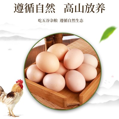 一农小枞高山鸡蛋 农林散养土鸡蛋 现捡现发营养柴鸡蛋 2盒图2