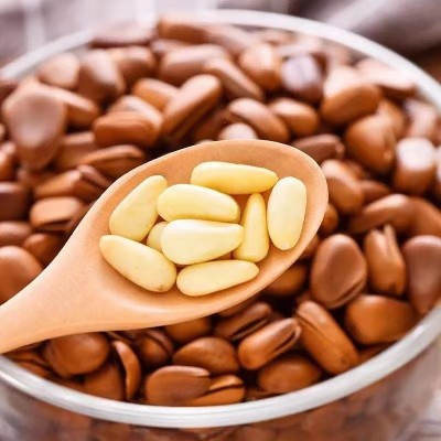 东北松子手剥开口红松子袋装净重500g散货批发代发年货坚 果零食 1斤图3