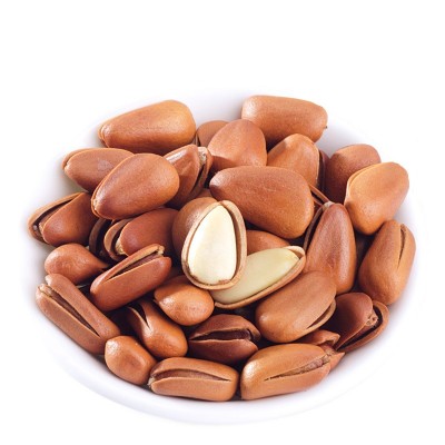 巴西松子 开口松子 大颗粒网红零食休闲坚果手剥松子贴牌代工OEM图5