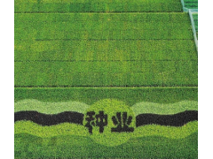 七问 现代农业产业，如何强“芯”