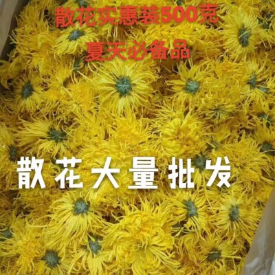 大量批发金丝皇菊散装原产地直发新花泡开5-7公分菊花茶一朵一杯图5