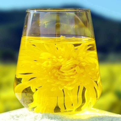 大量批发金丝皇菊散装原产地直发新花泡开5-7公分菊花茶一朵一杯图4