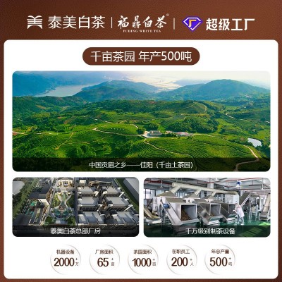 陈皮白茶小方片福鼎白茶老寿眉饼干茶礼盒60g 李陌 茶同款图4