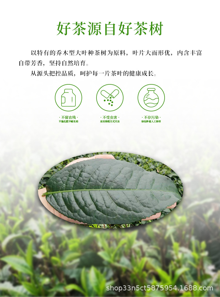 英德红茶英红九号100g详情页(包装更新2022)_03.j