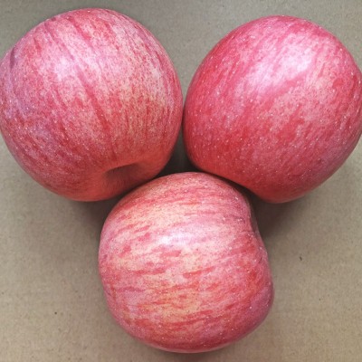 现货陕西红富士苹果新鲜水果产地直发甜脆水分足陕西苹果一件代发图2