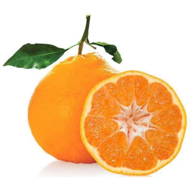 浦江春见耙耙柑产地直发手剥甜柑橘应季水果柑桔子粑粑柑新鲜水果图5