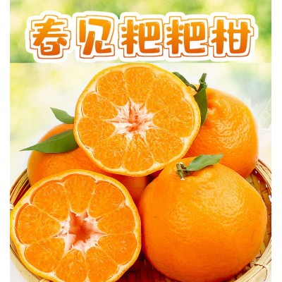浦江春见耙耙柑产地直发手剥甜柑橘应季水果柑桔子粑粑柑新鲜水果图2