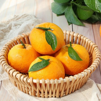 现货武鸣沃柑当季新鲜水果沙糖桔橘子整箱批发一件代发图2