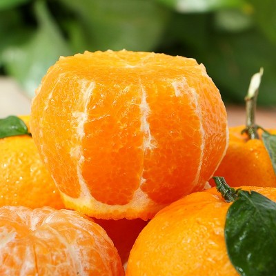 现货武鸣沃柑当季新鲜水果沙糖桔橘子整箱批发一件代发图3