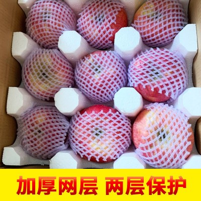 陕西红富士苹果非阿克苏苹果洛川红富士新鲜水果产地直发批发图4