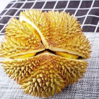 全年供应新鲜采摘泰国金枕头榴莲软糯香甜带壳水果2-10斤一件批发图5