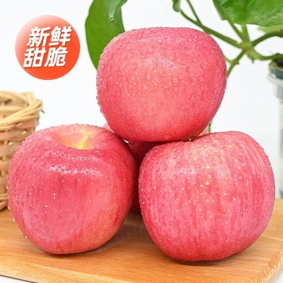 产地直发陕北米脂当季新鲜苹果红富士脆甜多汁水果礼盒12颗装直邮图2