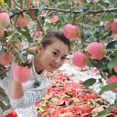应季生鲜水果洛川红富士冰糖心苹果5/9斤包邮现摘多汁脆甜苹果图3
