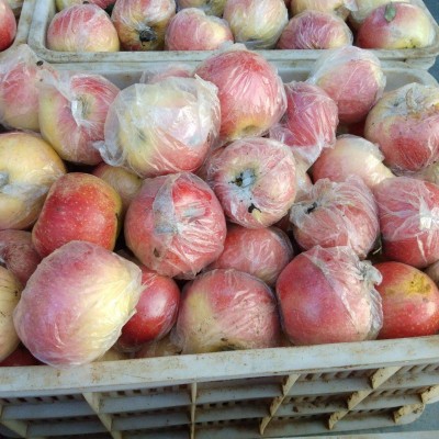 山西红富士苹果当季新鲜水果脆甜苹果一件代发 2件图3