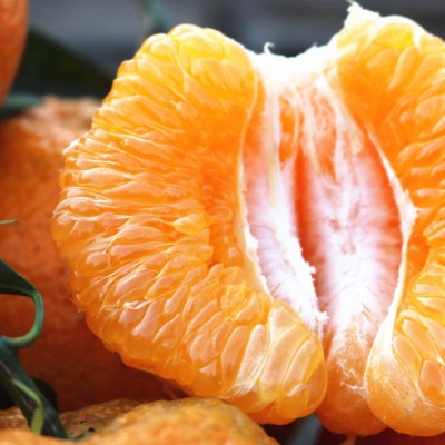 四川耙耙柑现货橘子新鲜当季水果柑桔子耙耙柑一件代发  2件图3