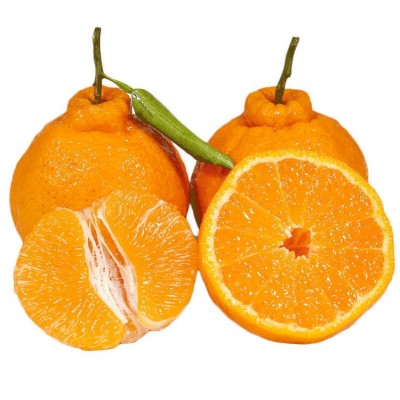 四川耙耙柑现货橘子新鲜当季水果柑桔子耙耙柑一件代发  2件图5