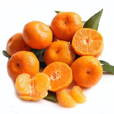 广西砂糖橘新鲜水果包邮当季橘子小沙糖桔子一件代发 2件图5