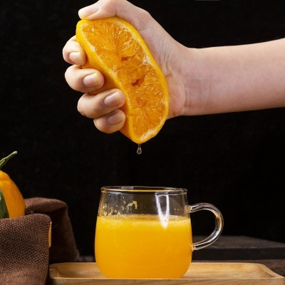 四川春见耙耙柑当季新鲜当季水果粑粑柑丑八怪柑橘子整箱批发图4