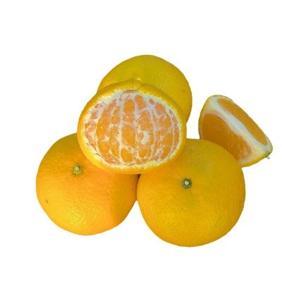 甜心柚福建甜心桔柚建阳橘柚特产甜心柚年货柚子薄皮当季新鲜水果图4