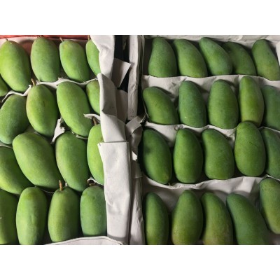 广西金煌芒果当季新鲜水果10斤水仙芒当季热带水果大青甜心芒整箱图3