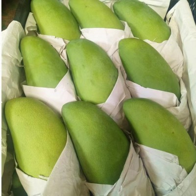 越南大青芒 新鲜水果 果大肉多 大芒果青皮芒果 大脸芒果肉厚香甜图2