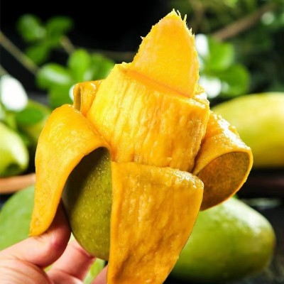 越南大青芒 新鲜水果 果大肉多 大芒果青皮芒果 大脸芒果肉厚香甜图4