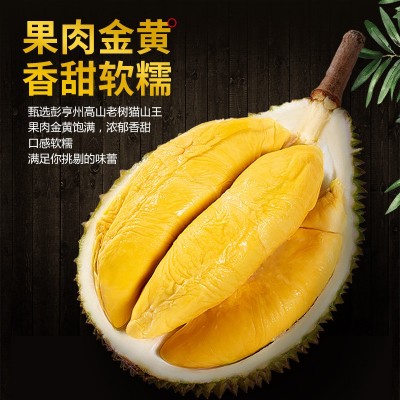 马来西亚进口液氮猫山王榴莲D197新鲜冷冻带壳整果 批发零售图2