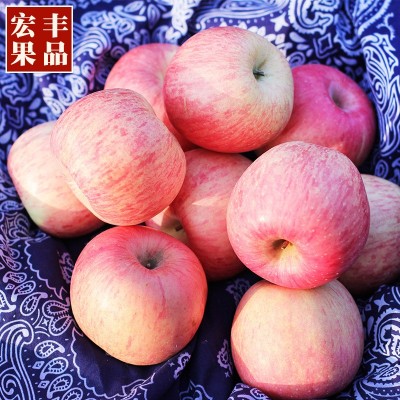 23秋新果栖霞红富士苹果水果礼盒装脆甜正宗山东烟台新鲜当季好吃图3