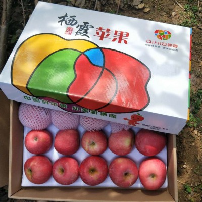 23秋新果栖霞红富士苹果水果礼盒装脆甜正宗山东烟台新鲜当季好吃图2