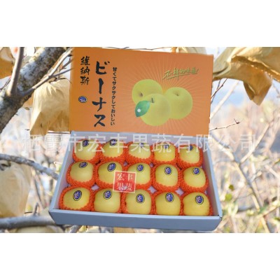 23秋正宗烟台栖霞黄金维纳斯奶油富士苹果水果脆甜汁正宗山东新鲜图2