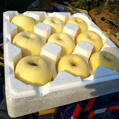 23秋正宗烟台栖霞黄金维纳斯奶油富士苹果水果脆甜汁正宗山东新鲜图4