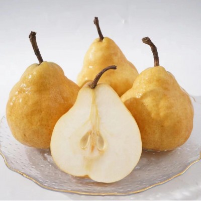 正宗烟台中华丑梨软糯爆汁香甜太婆啤梨5斤9斤大果礼盒装支持代发图2