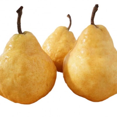 正宗烟台中华丑梨软糯爆汁香甜太婆啤梨5斤9斤大果礼盒装支持代发图5