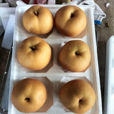 山东莱阳正宗冰糖秋月梨现摘现发爆汁无渣礼盒装大果3斤5斤一件代图3