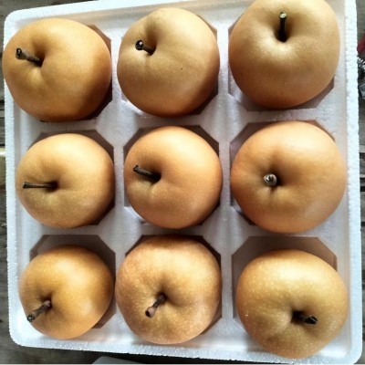 山东莱阳正宗冰糖秋月梨现摘现发爆汁无渣礼盒装大果3斤5斤一件代图2