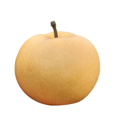 山东莱阳正宗冰糖秋月梨现摘现发爆汁无渣礼盒装大果3斤5斤一件代图4