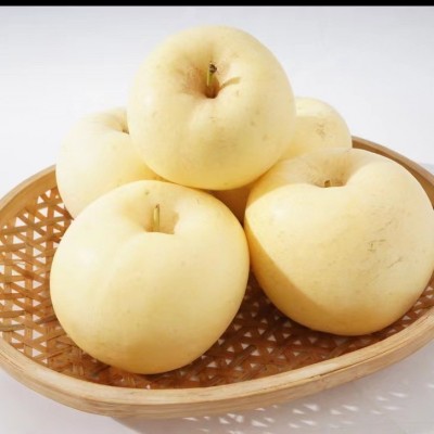 山东烟台黄金奶油富士苹果脆甜多汁礼盒冰糖心水果5斤装支持代发图4