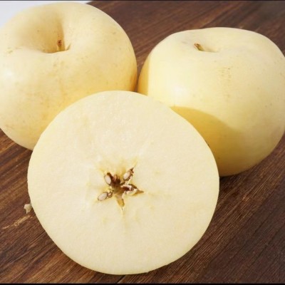 山东烟台黄金奶油富士苹果脆甜多汁礼盒冰糖心水果5斤装支持代发图2