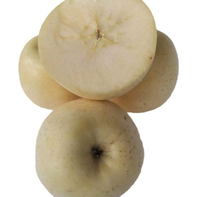 山东栖霞苹果黄金奶油富士 5斤装脆甜多汁冰糖心水果批发支持代发图5